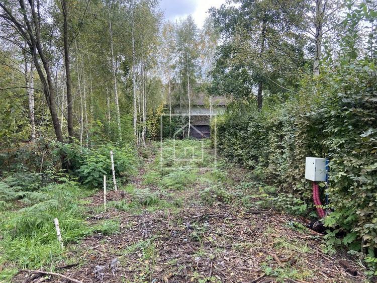 Teren intravilan 520 mp Valea Avrigului ideal cabana A-frame - 1