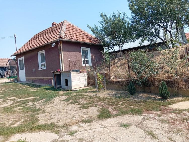 Casa de vanzare in Uileacul de munte la 12 km de Oradea Teren 6800 mp. - 4