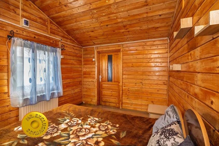 Doua case in aceeasi curte Pitesti, Strada Turcesti - 2