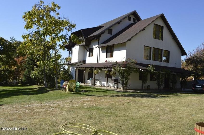 Topoloveni - Conacul Ion Mihalache, Domeniu pe 5 Hectare! - 48