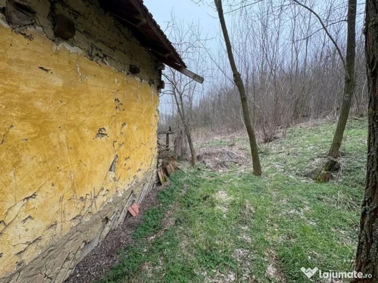 Teren 2.038 mp + Casa 50 mp de vanzare Sat Luncsoru, C - 13