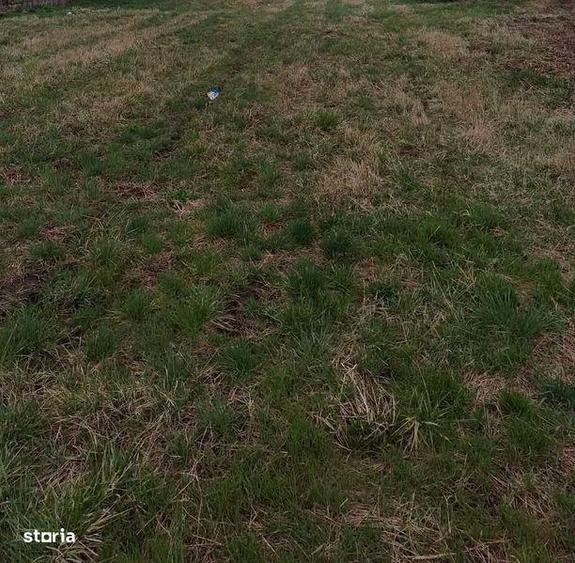 Teren intravilan Alparea - 1