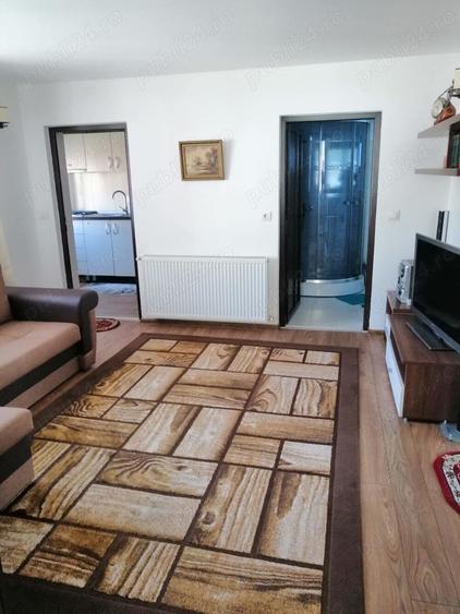 casa de vacanta sau permanent - 4