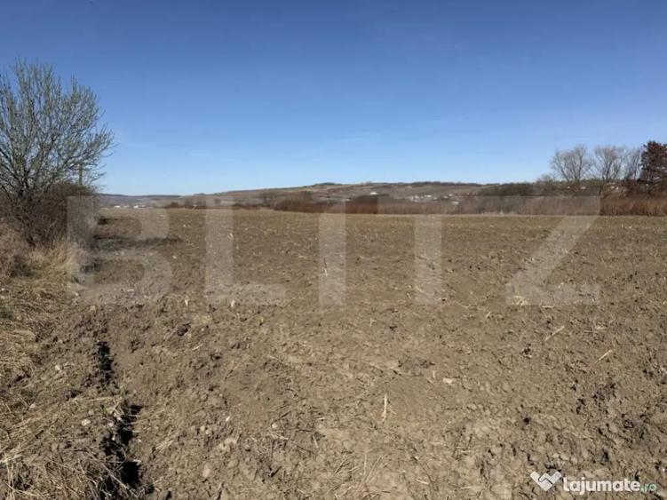 Teren extravilan in suprafata de 4000 mp in loc. Hereclean - 2