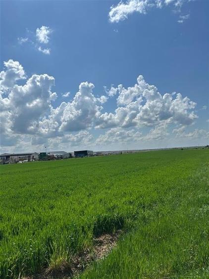 RECO Imobiliare teren intravilan langa Solay - 4