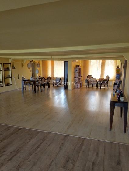 Vanzare Vila/casa P+1 Budesti pretabil mica productie/azil de batrani Vanzare Vila/casa P+1 Budesti pretabil mica productie/azil de batrani