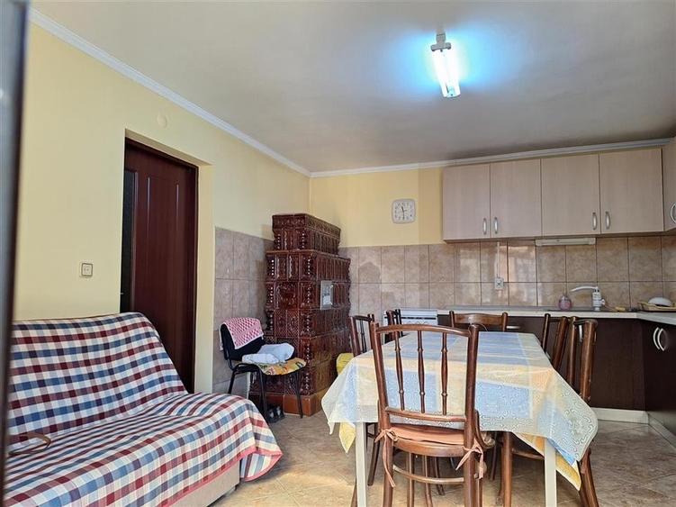 Reco, Casa cu teren generos de peste 5000 mp  in Tinaud - 10