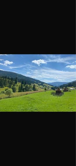 Teren de vanzare la munte in Bucovina - 5