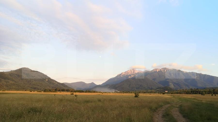 Teren agricol extravilan de 7000 mp, în Caragiale