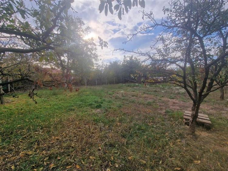 RECO Vila deosebita  in Santandrei cu teren generos - 50