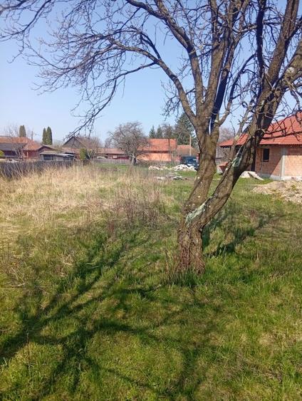 De vanzare Teren Intravilan - 2