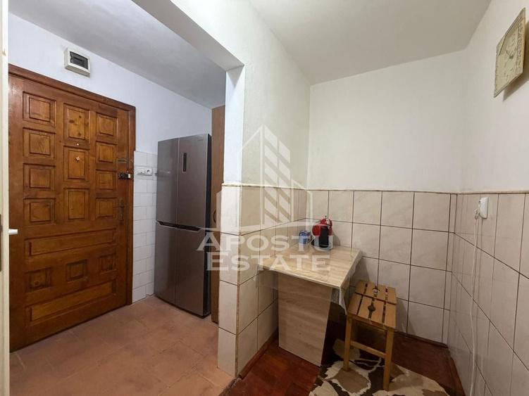 Apartament cu 2 camere, de vanzare, zona Blascovici, Timisoara - 9