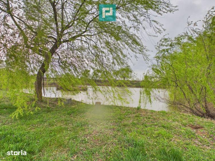 Teren 1 ha cu balta populata Alios (Masloc) - 8