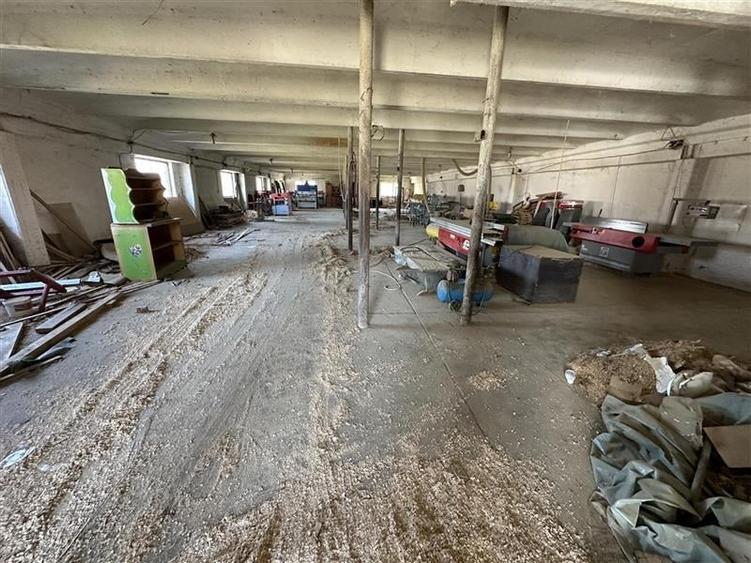 Letea Veche - Radomiresti - Hala 409 - teren 4.650mp - 3