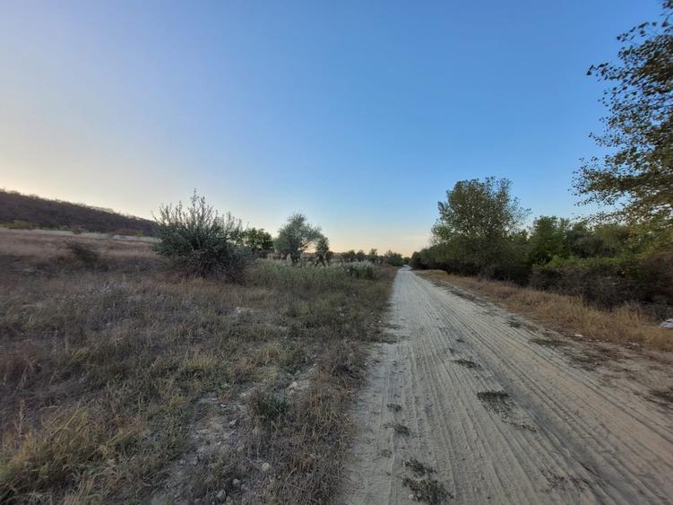 Teren Cernavodă 14.000 m/4 euro m - 6