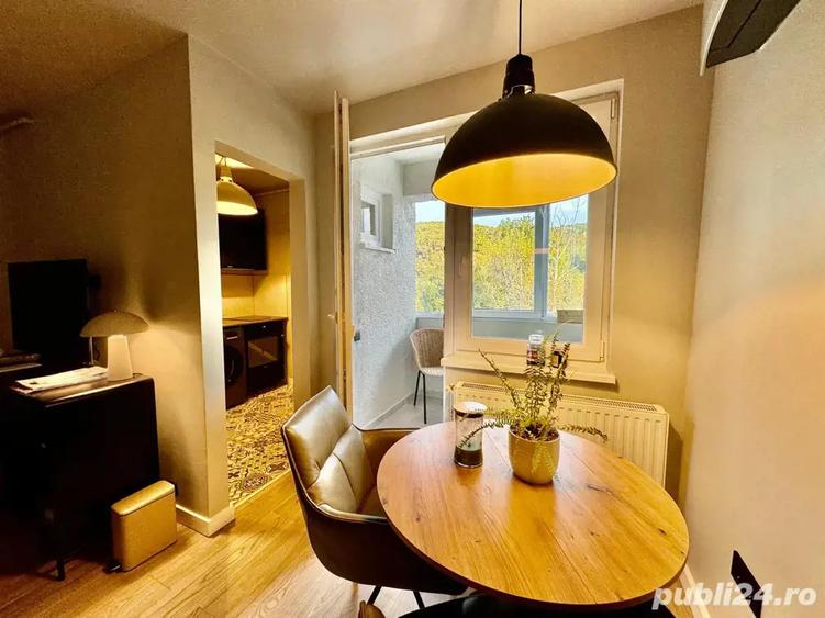 Apartament 1 camera Cornisa UMFST - 3