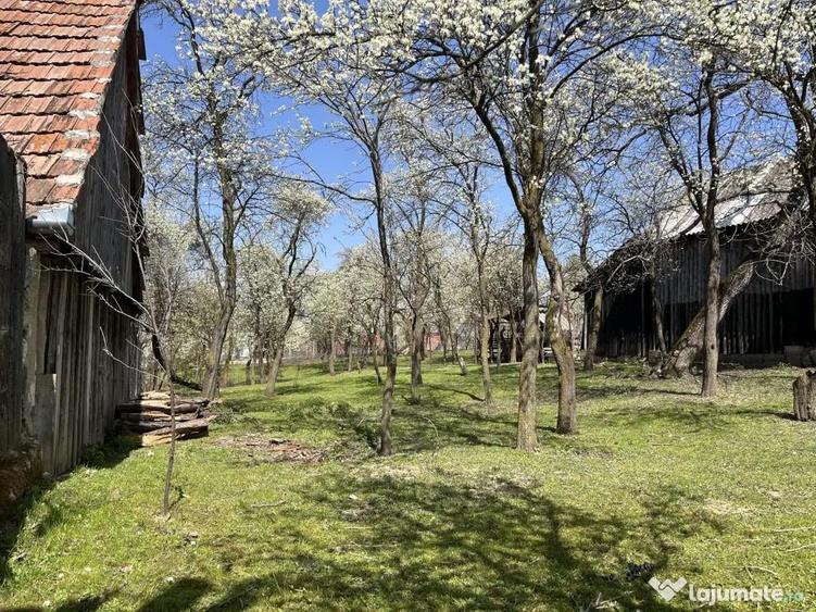 Teren intravilan Poplaca, 989 mp, centru, la 8 minute de Sibiu - 8