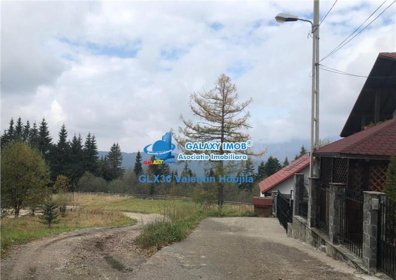 Teren 850 mp Predeal Cioplea - Belvedere - 6