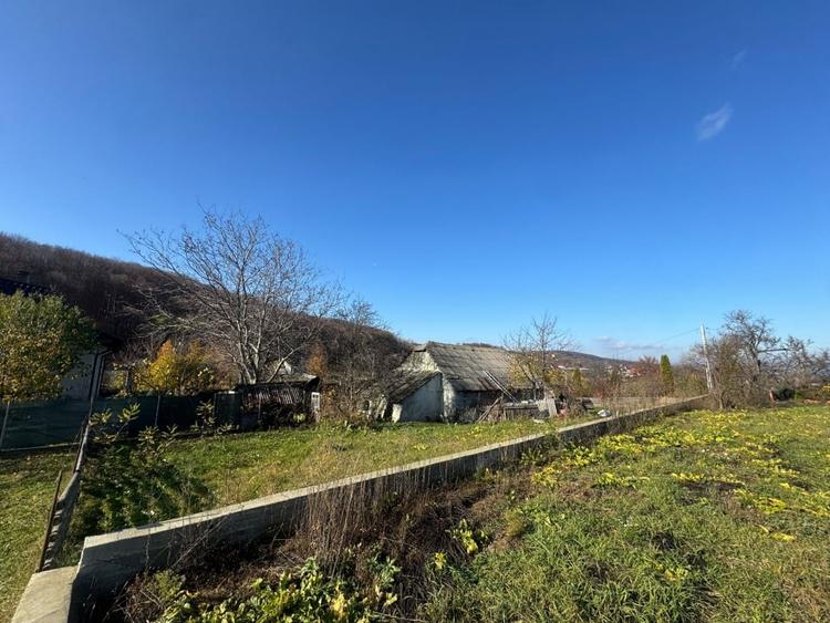 Vanzare  1400mp teren imprejmuit 2 loturi pt casa Adancata - sub padure - 14