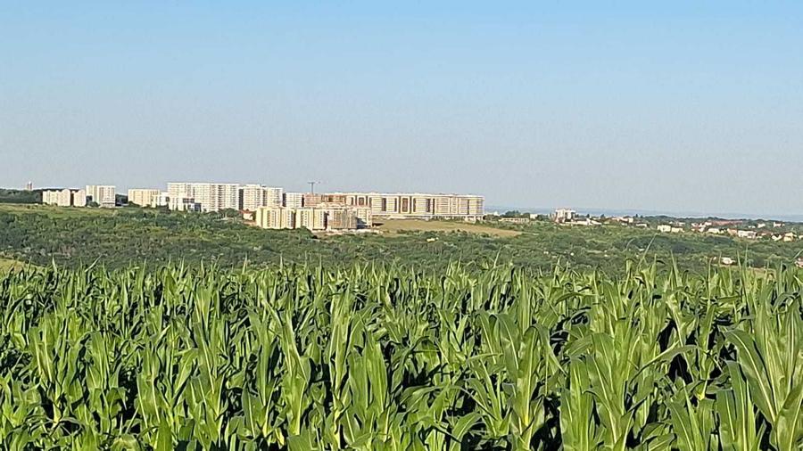 Terenuri de vanzare intravilan Rediu - 1511 mp - 2