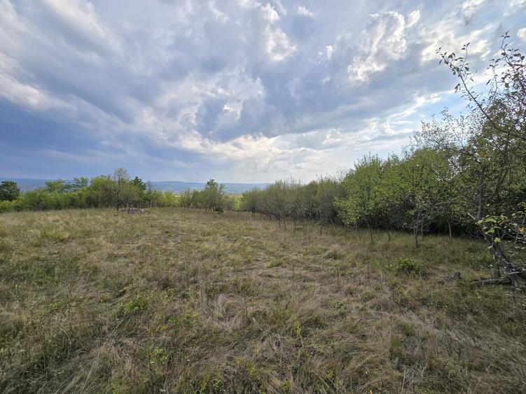 Vand teren in loc. Ulies, com. Gurasada, jud. Hunedoara - 4