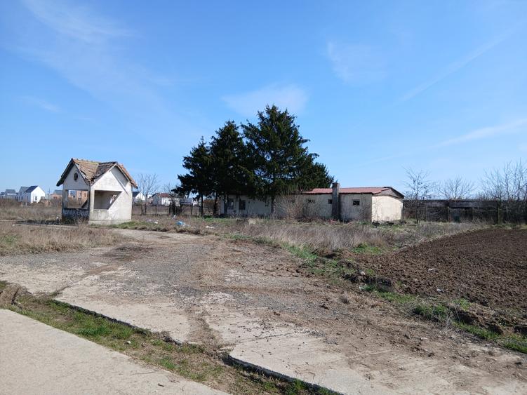 Teren intravilan 16400 mp, Balotesti-Saftica - 50 euro/m2 - 9