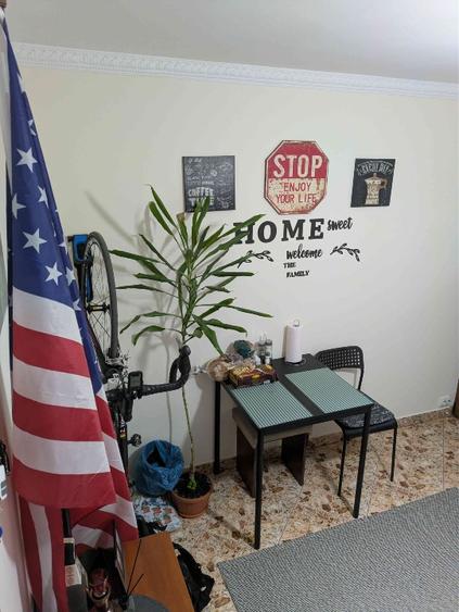 Propietar (De Vânzare apartament cu 2 camere) - 12