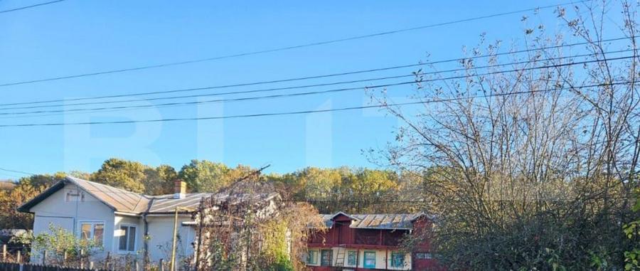 Casa Comuna Plopu , Sat Nisipoasa cu teren aproape de padure - 9
