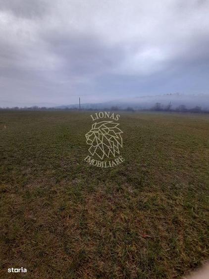 Teren 1698 mp-ideal investitie-Dumitrita, 15 km de Bistrita - 2