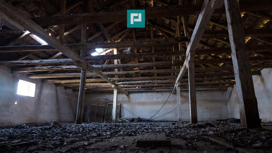 Hală industrială cu teren generos în Zărand, Arad - 37