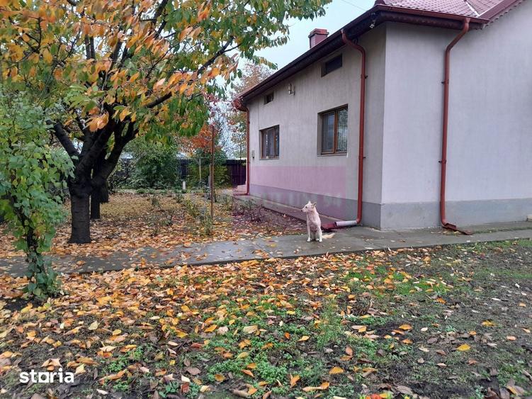 DE VANZARE CASA IN COM. BRANESTI (IF) - 15