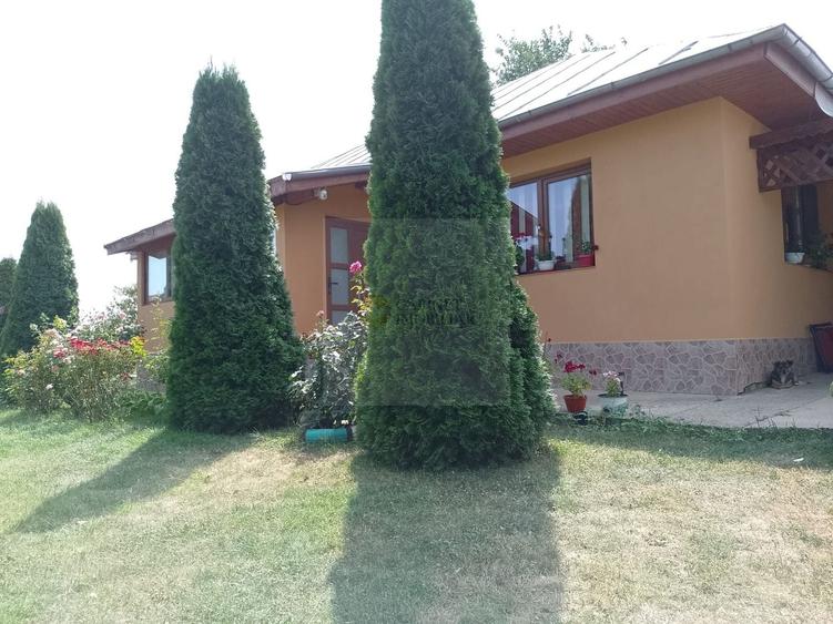 Casă de vacanță modernă cu teren generos –15min de Tecuci - 1