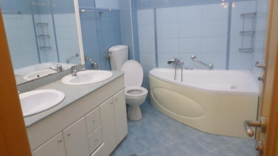 Apartament  spatios in  Vila noua, curte, multa verdeata, ultracentral, - 14