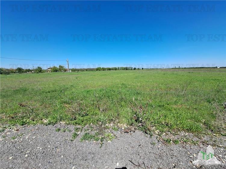 Loturi teren de vanzare Branesti/Vadu Anei - 11