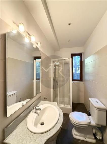 Vila Individuala Spectaculoasa cu Piscina, Erou Iancu Nicolae-Pipera - 19