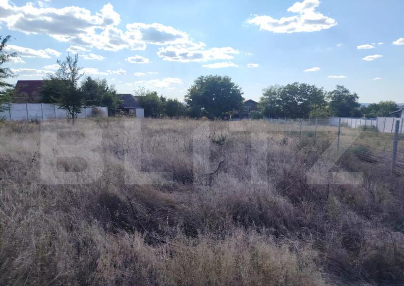 Teren intravilan Malu Mare, 1528 mp, deschidere 24 m - 1