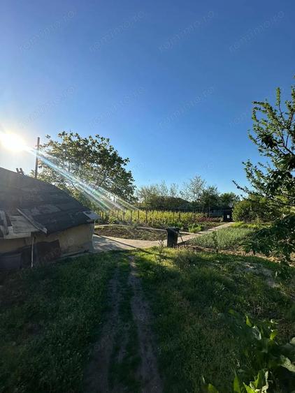 Direct proprietar: Casa demolabila + teren 1167 mp - 9