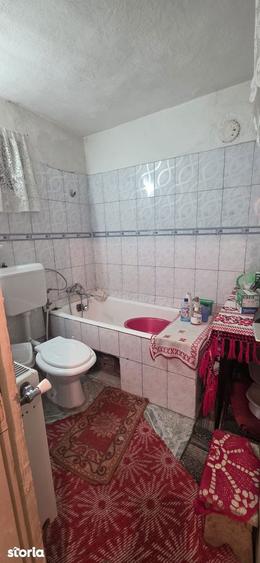 Proprietate cu 2 corpuri de casa Inel 2 / Berechet, Constan?a - 7