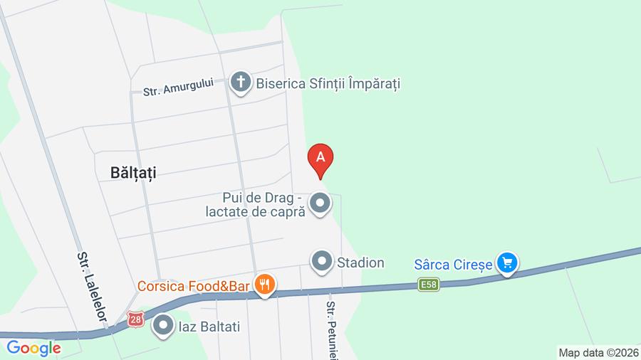 Spatiu comercial / depozit - 1