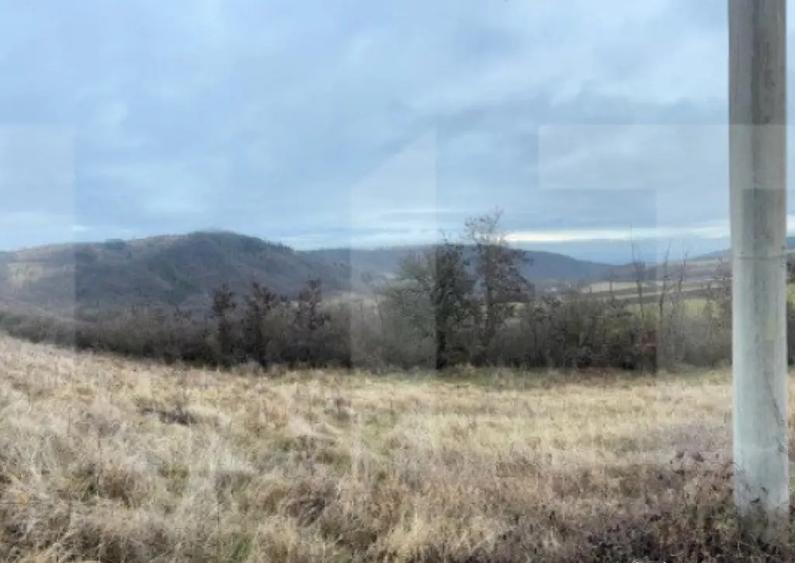 Teren extravilan 4300 mp, zona Criseni - Paclisa - 6