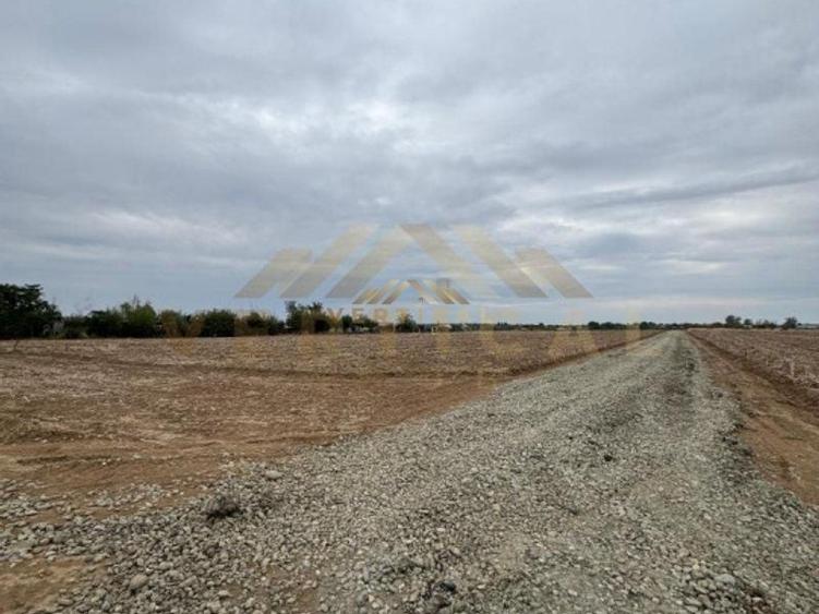 Teren Intravilan 500 mp, Vidra, ideal investitie - 2