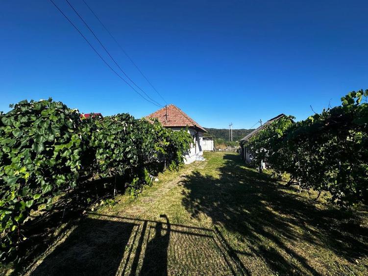 Casa de vanzare in com Ciofrangeni jud Arges - 2