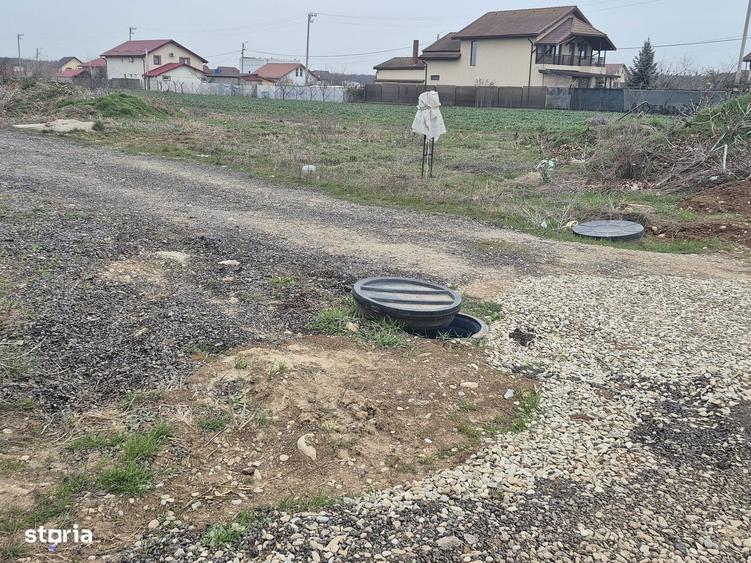 Lot Balotesti,electricitate,gaz,canalizare,apa curenta la teren - 6