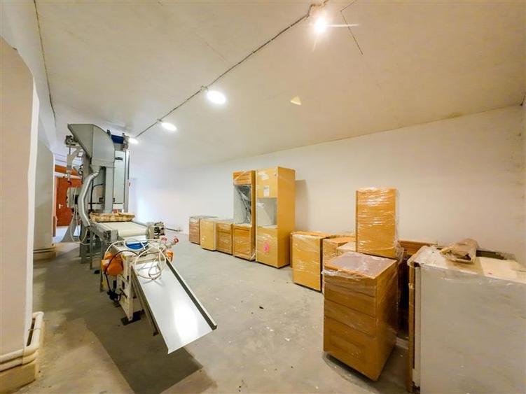 FILM! Oportunitate industriala, hala in localitatea Ghelinta, Covasna - 17