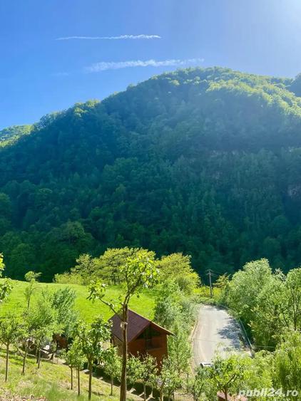 Vand cabana casa de vacanta - 8