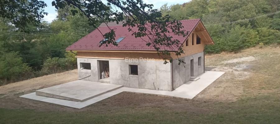 Casa Iedera de Sus | Dambovita