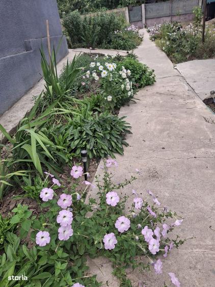 Casa de vanzare 3 camere, teren generos, comuna Traian - 3