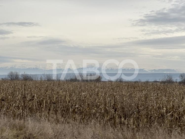 Teren pretabil investitie 3611 mp de vanzare in Cristian judetul Sibiu - 2