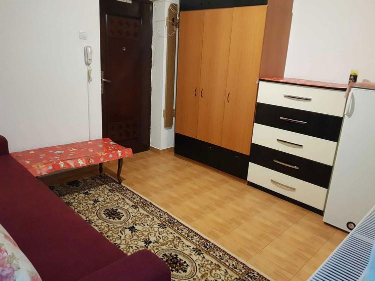 Electronicii, D-na Ghica, sec 2, d-na peste 45 ani, fara animale - 5