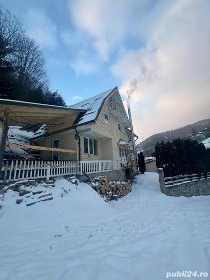 Vand vila cabana in Muntele Baisorii - 10
